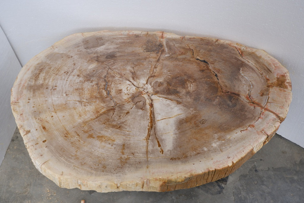 Relique - Eliza Coffee Table - Polished Stainless Steel Base - Natural Light Top