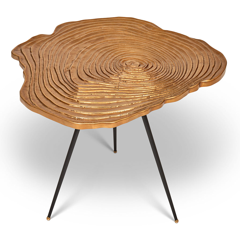 IE Series - Easton Slab End Table - Brass