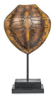 Faux Olive Ridley Turtle Shell on Stand