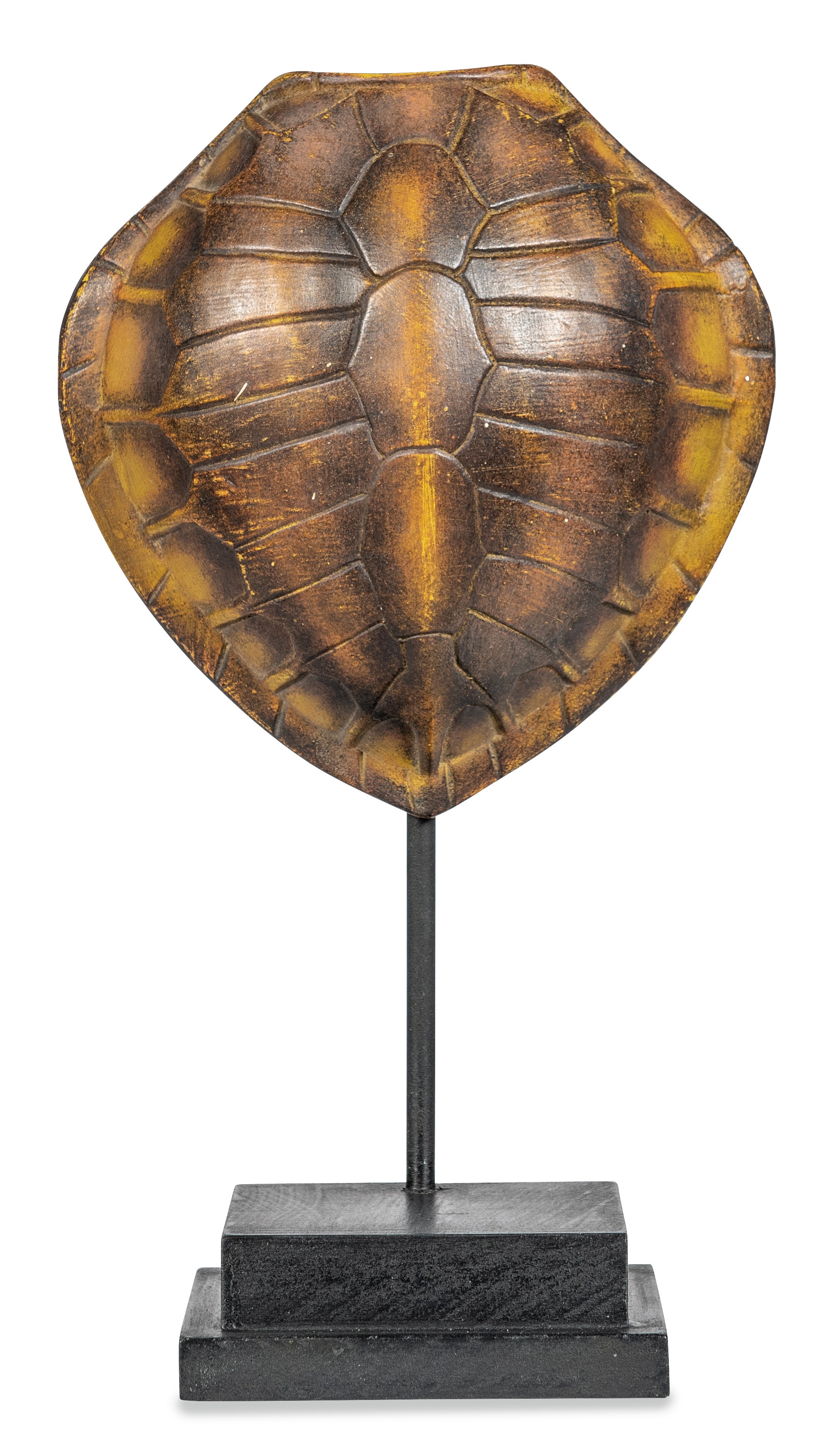 Faux Olive Ridley Turtle Shell on Stand