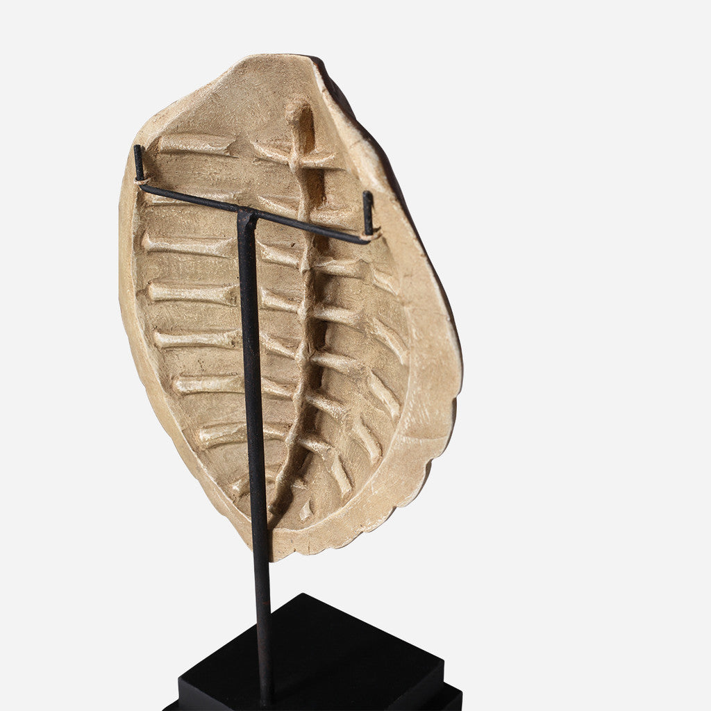 Faux Loggerhead Turtle Shell on Stand