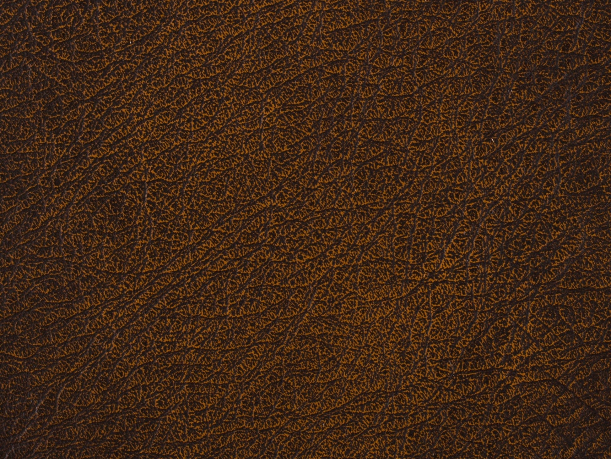 Kingley Cocktail Ottoman - Central Designs