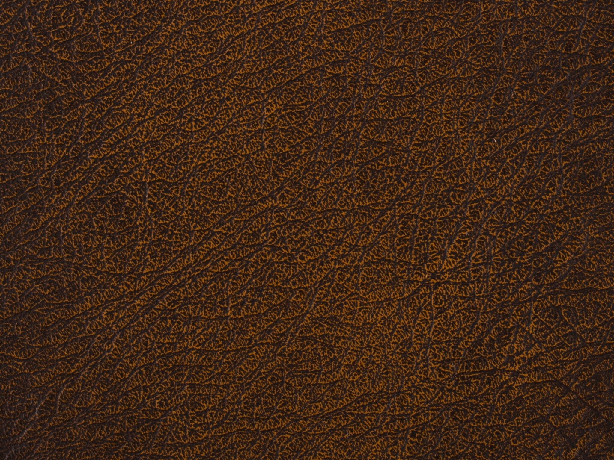 Kingley Cocktail Ottoman - Central Designs