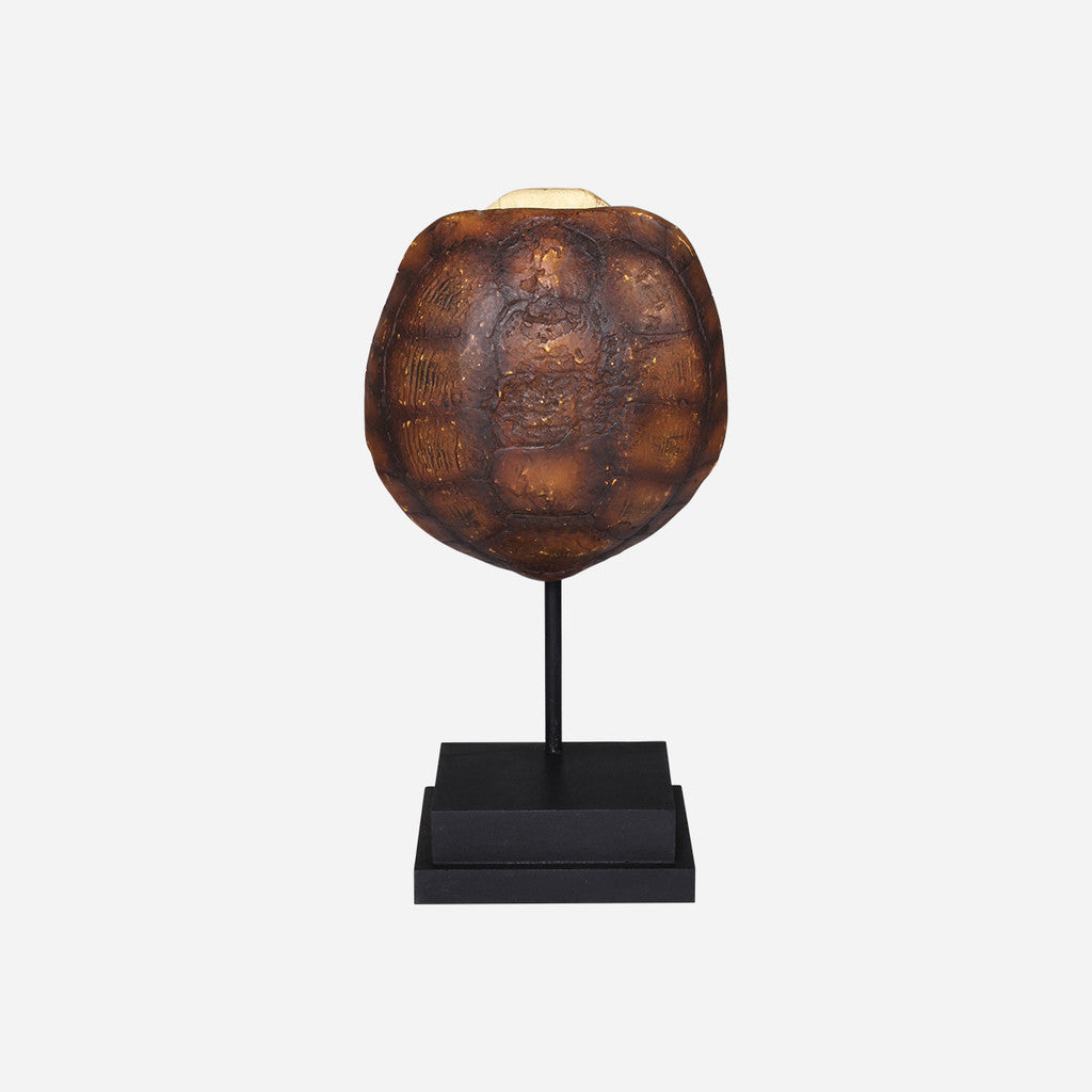 Faux Gopher Tortoise Shell on Stand