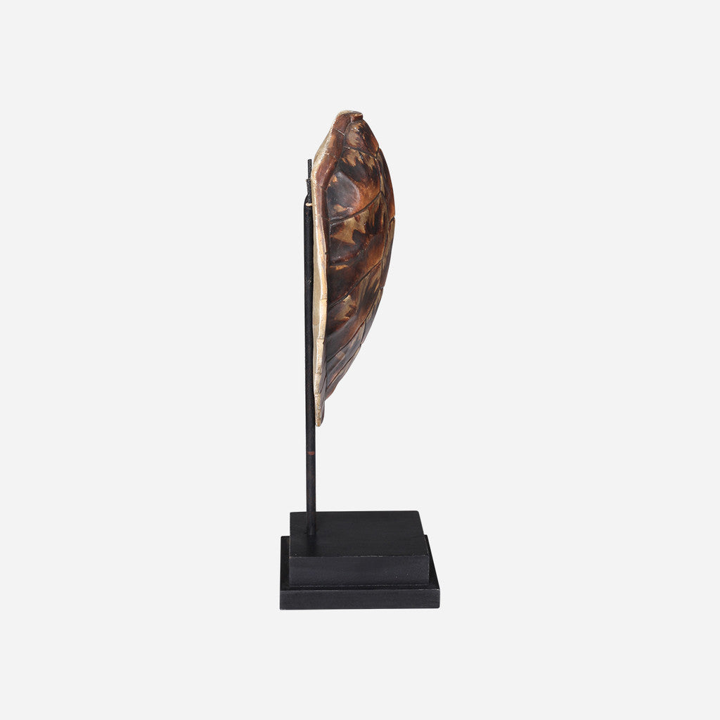 Faux Loggerhead Turtle Shell on Stand