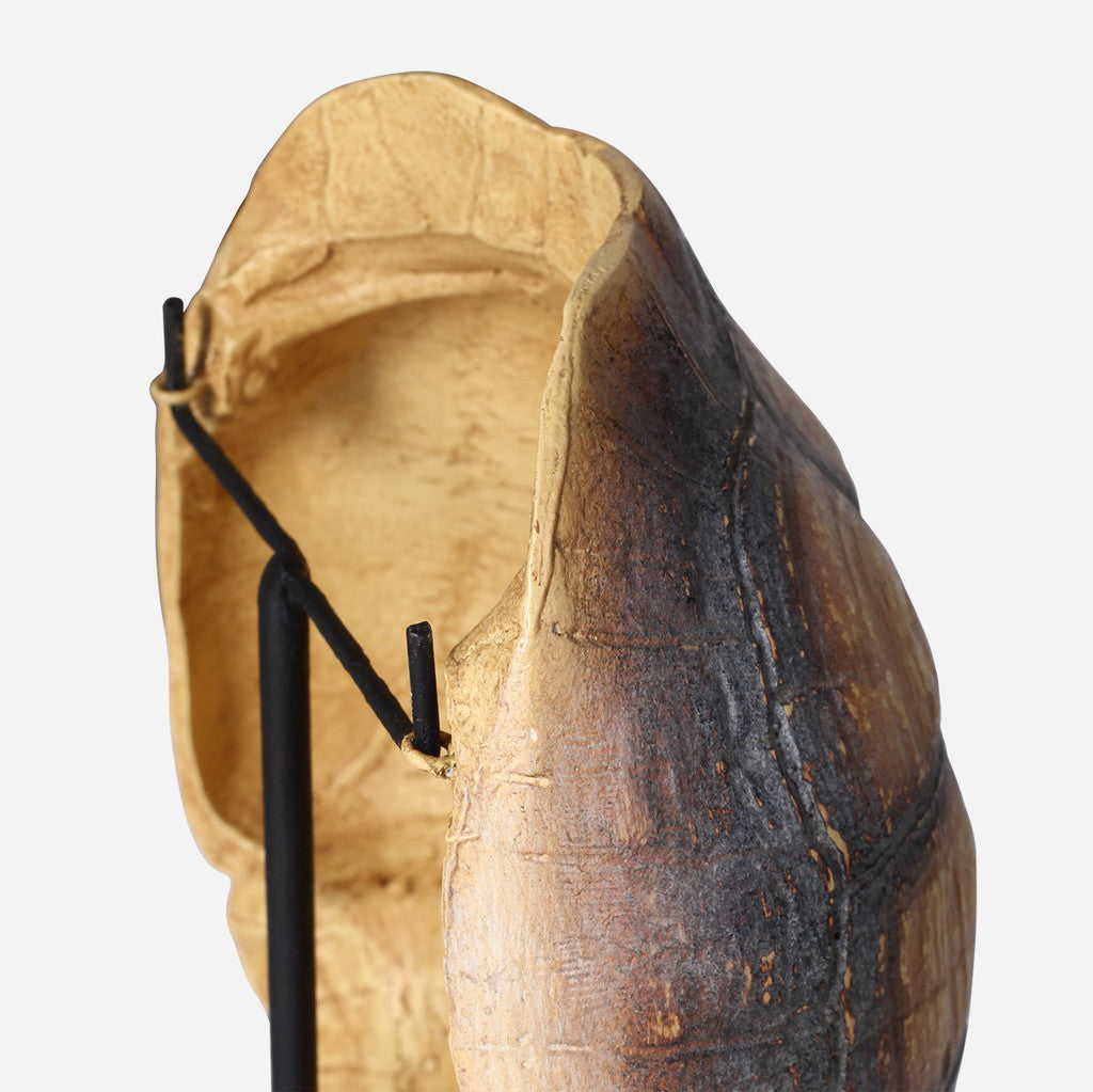 Faux Yellow Footed Tortoise Shell on Stand