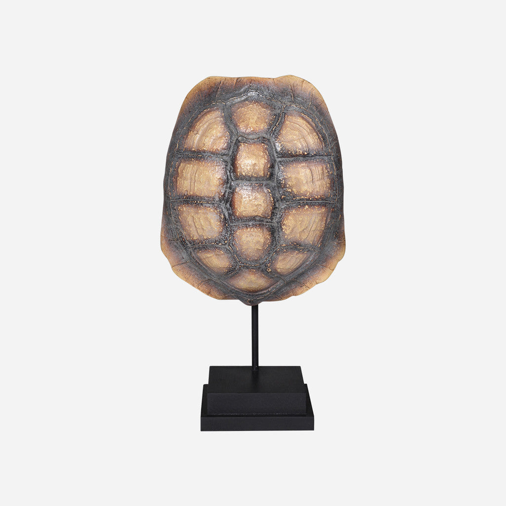 Faux Yellow Footed Tortoise Shell on Stand