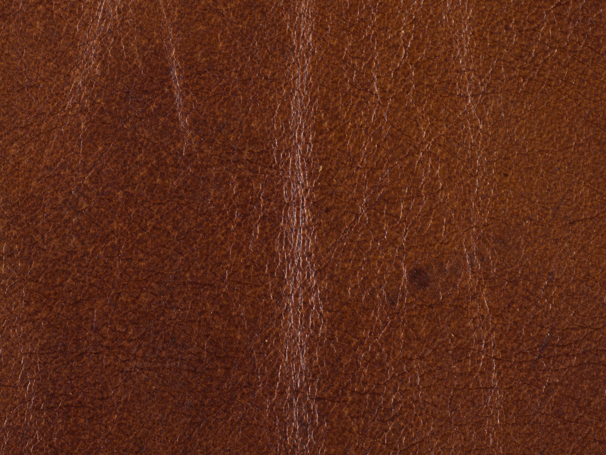 Exton Stationary Sofa - Central Designs