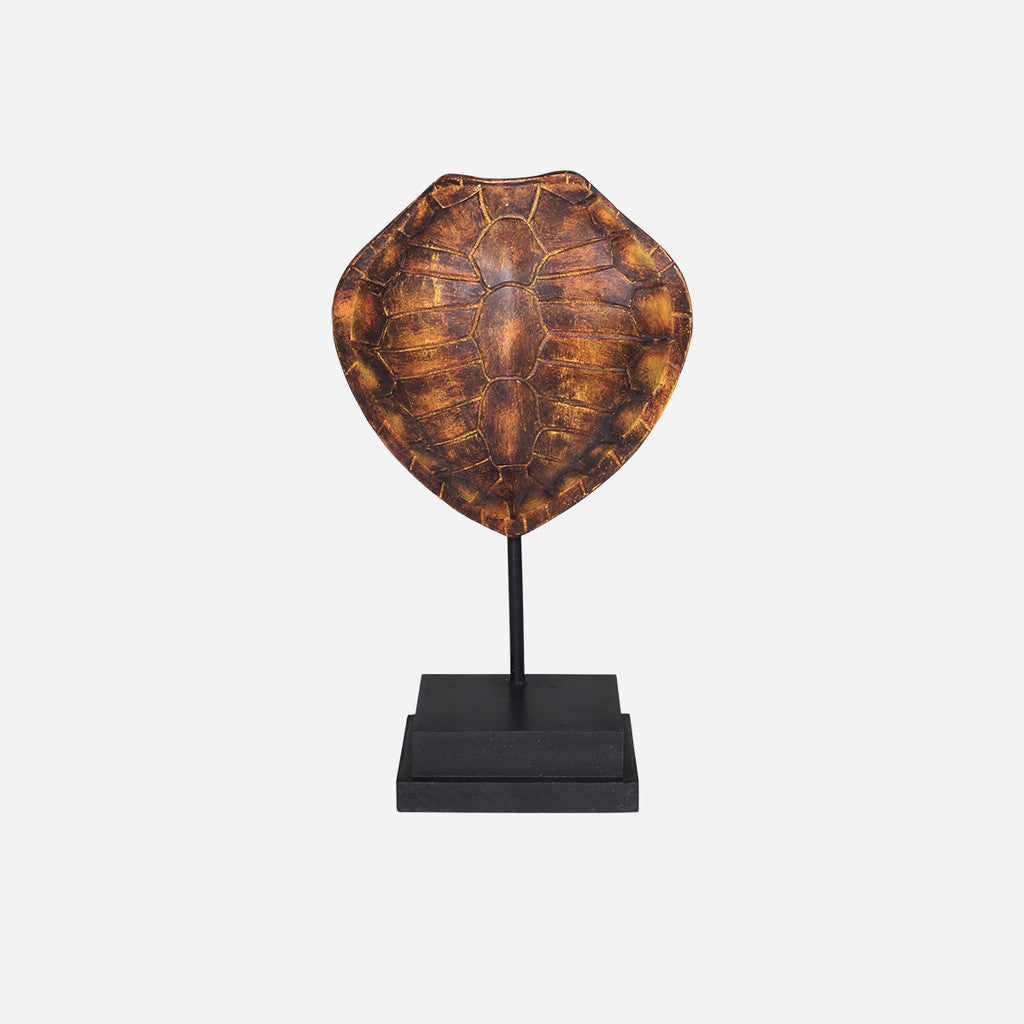 Faux Olive Ridley Turtle Shell on Stand