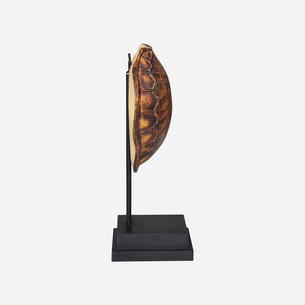 Faux Olive Ridley Turtle Shell on Stand