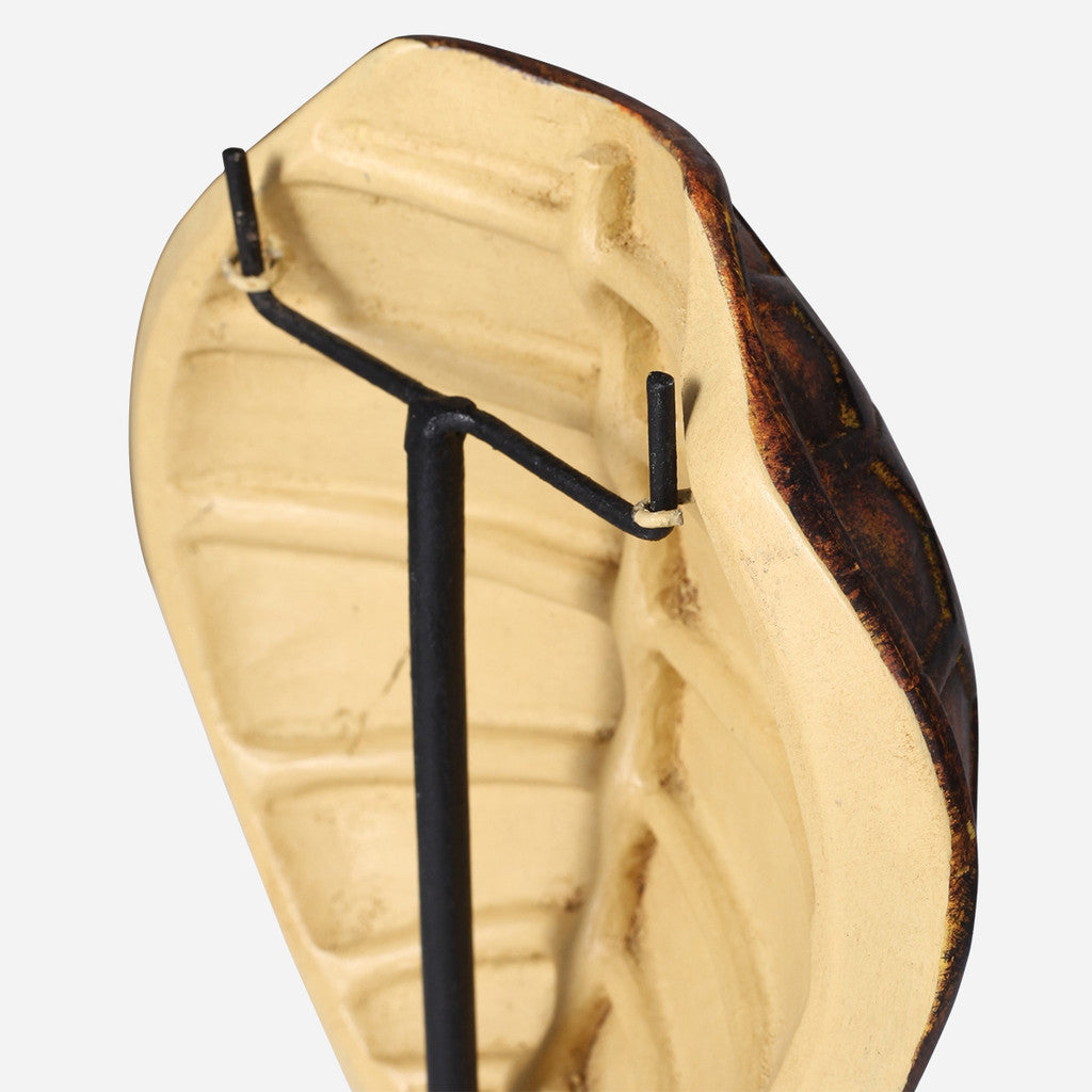 Faux Olive Ridley Turtle Shell on Stand