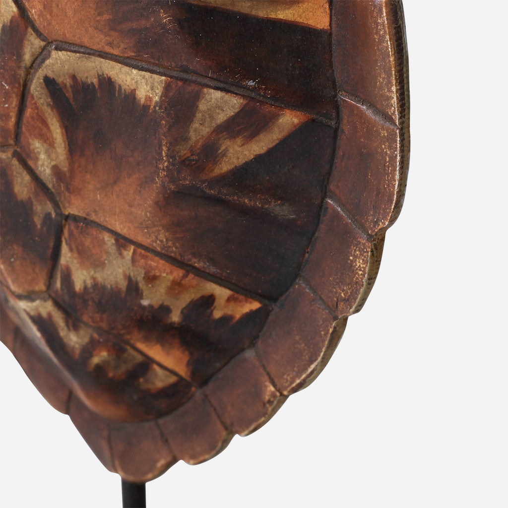 Faux Loggerhead Turtle Shell on Stand