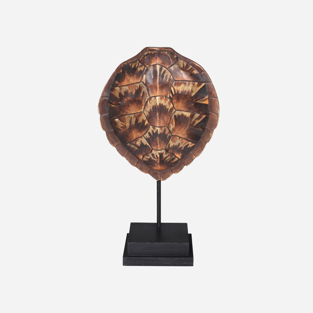 Faux Loggerhead Turtle Shell on Stand