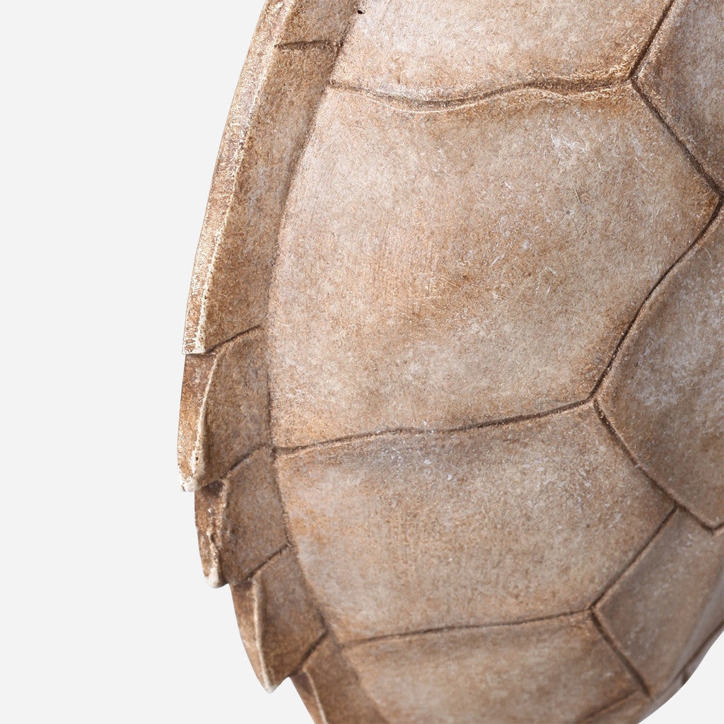 Faux Hawksbill Turtle Shell on Stand