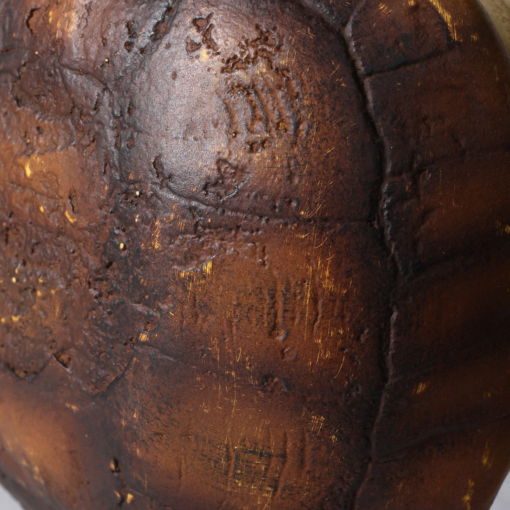 Faux Gopher Tortoise Shell on Stand