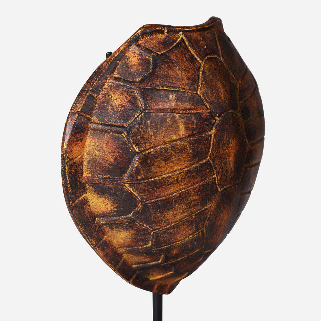 Faux Olive Ridley Turtle Shell on Stand
