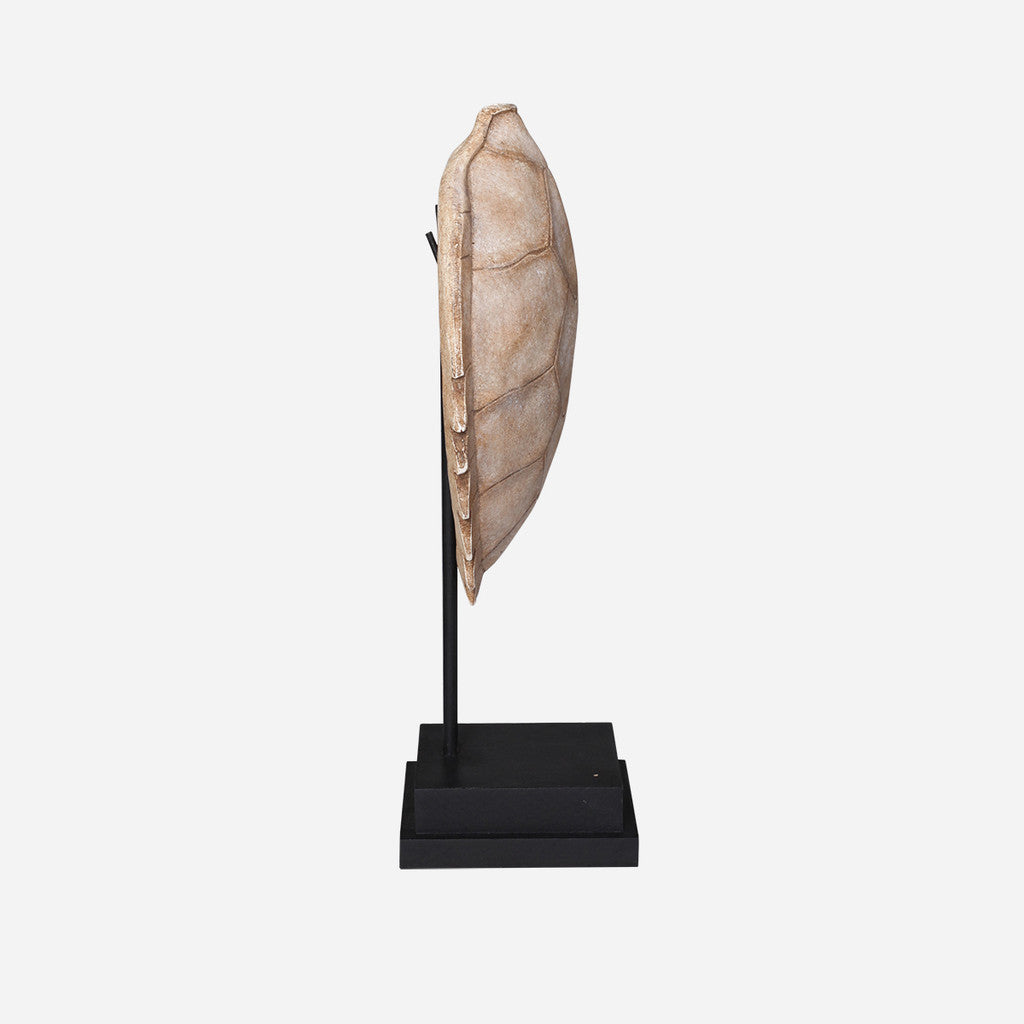 Faux Hawksbill Turtle Shell on Stand
